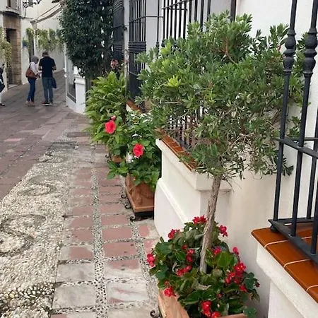 Iris Apartmento Flamante En Apartamento